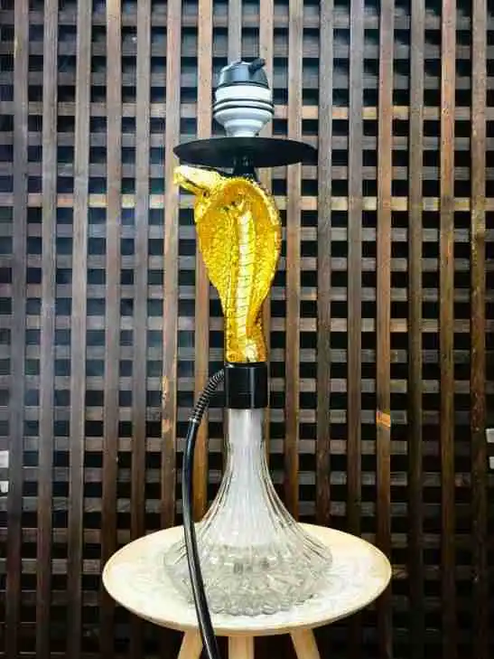 High Quality Cobra Hookah with Silicone Hose Portable Chicha Hookah Set Luxury Resin Hookah Smoking Accessories