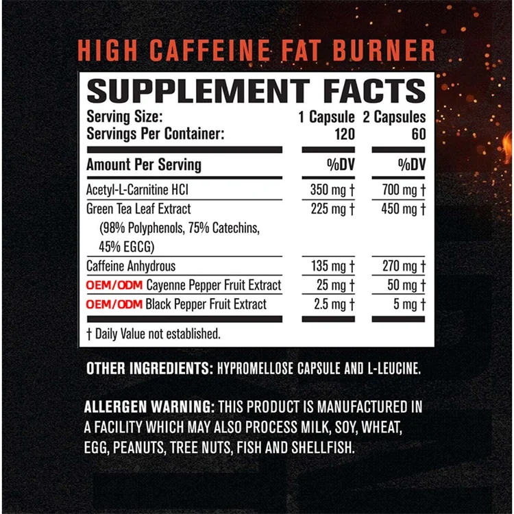 Improve Focus & Increase Energy 120 Natural Veggie Pills Premium Acetyl L-Carnitine Green Tea Extract Cayenne Pepper & More