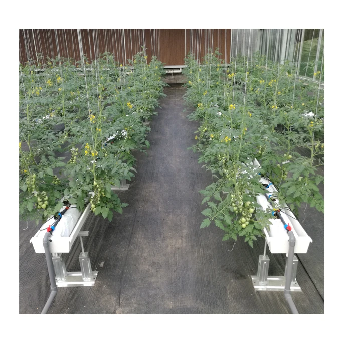 Умные стеклянные теплицы для сельского хозяйства с вертикальной гидропонной системой