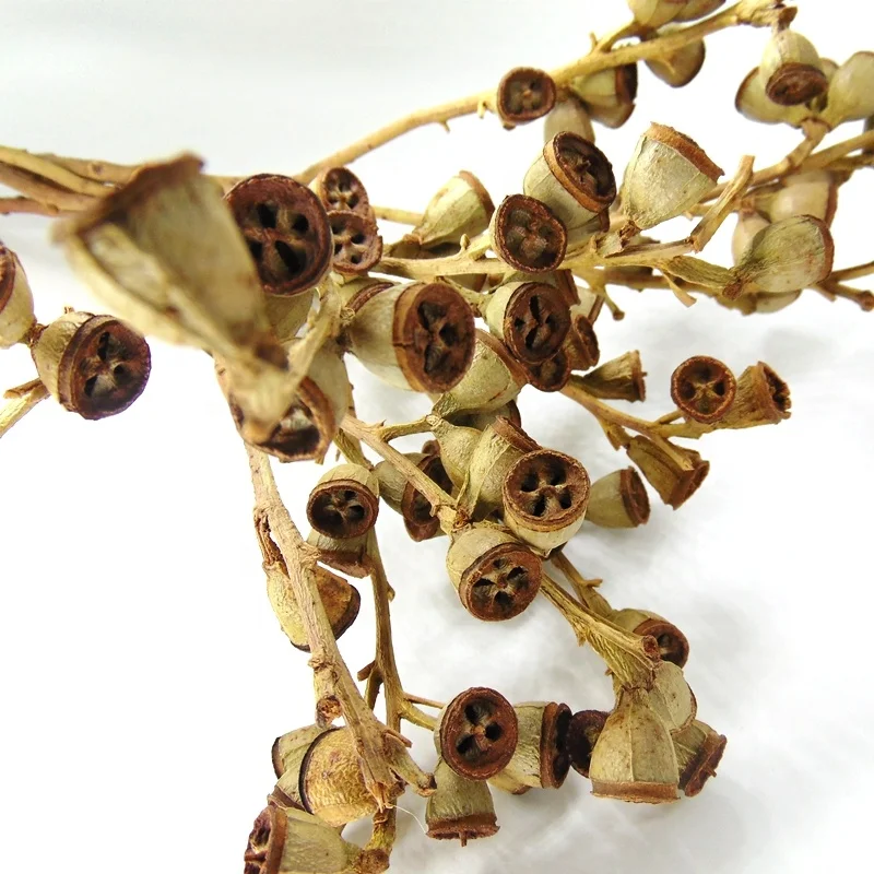 berries wholesale berries flower bouquet for wedding table centerpieces Eucalyptus fruit