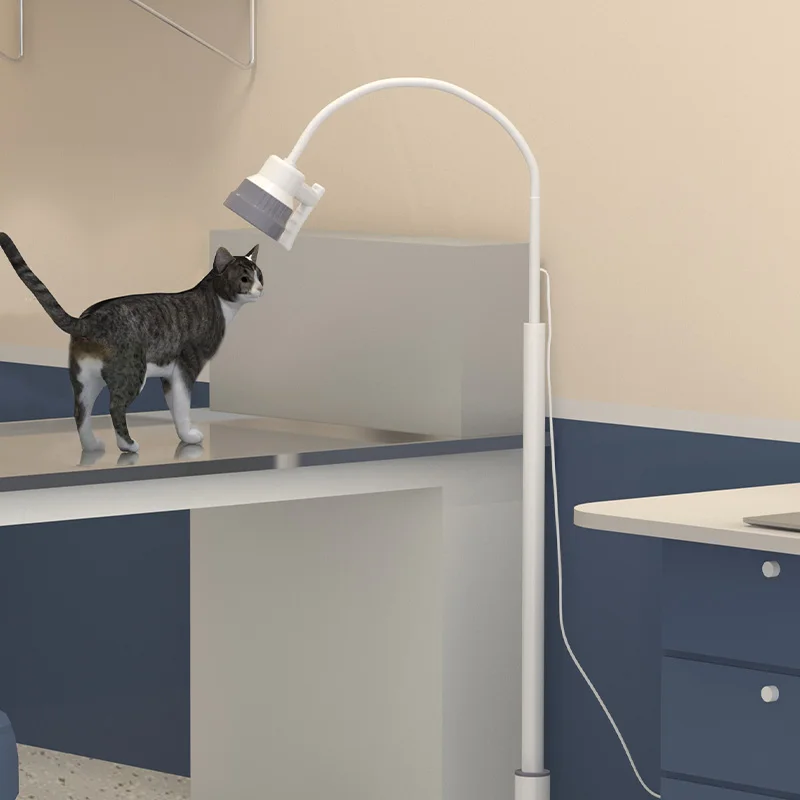 mobile portable floor stand hospital medical gooseneck 3W clinic gynecology LED examination light/lamp