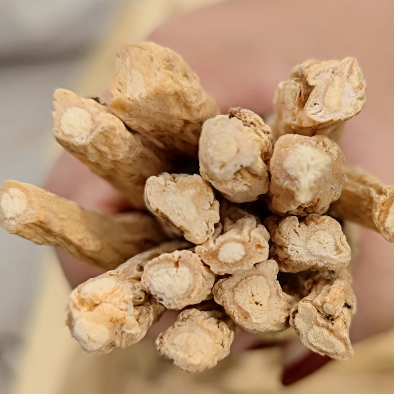 Wholesale artificial second class Chinese herb dangshen dried codonopsis health food Gansu Zhongzai