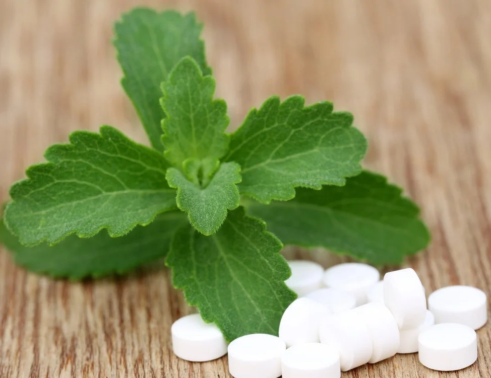 ISO Certified Tabletop Stevia Tablets 100-700/Dispenser Private Label Service Dried Sweeteners in Bulk Packaging