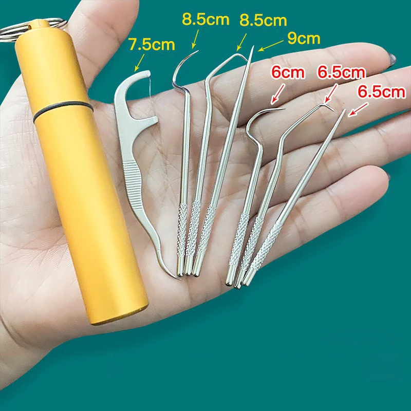 Metal Stainless Steel Oral Cleaning Tooth Flossing Portable Toothpick Floss Teeth Cleaner with Storage Tube