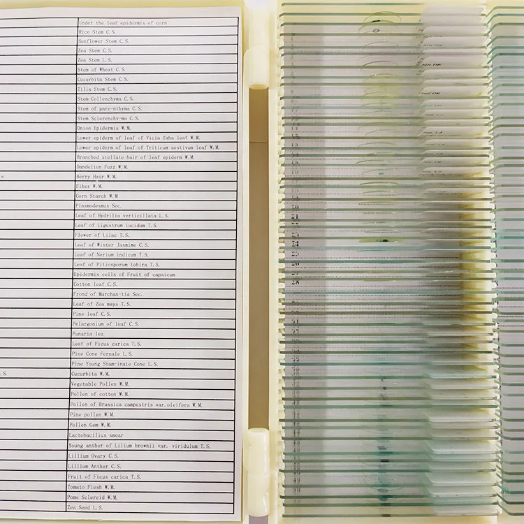 educational suppliers Staphylococcus aureus Smear microscope prepared slides microbiology accessories single item