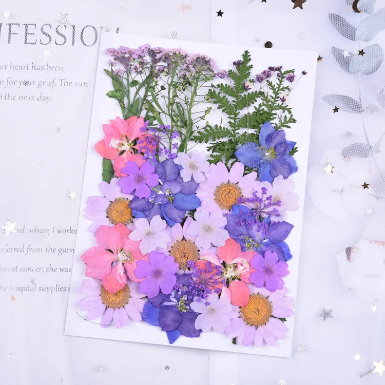 Wholesale Handicraft  Hot Sell Flower Press Bulk Mixed Pack Fresh Real Pressed Natural Flowers Dried Pressed Flower Resin