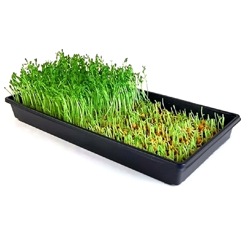 Лоток для прорастания семян 1020 лоток гидропоники роста растений Microgreen