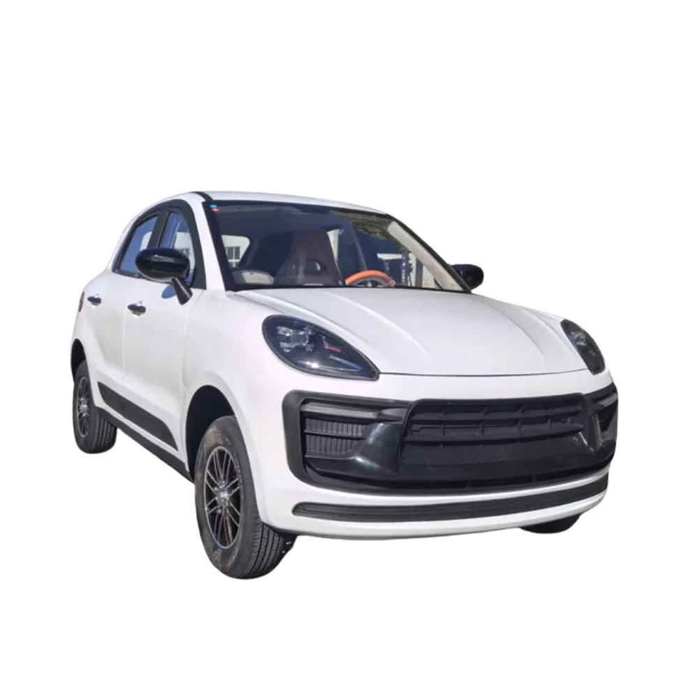 oil and electricity dual use Electric SUV China  New Energy Vehicle   5 units straight to Dubai in a container