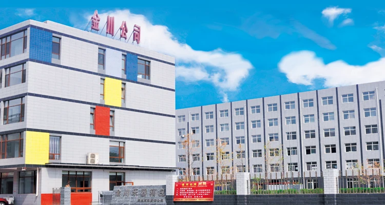 OEM Custom waterproof 2B 2S Billiard Cue Case pool cue bag with Crossbody Strap Convenient Carrying stick Storage