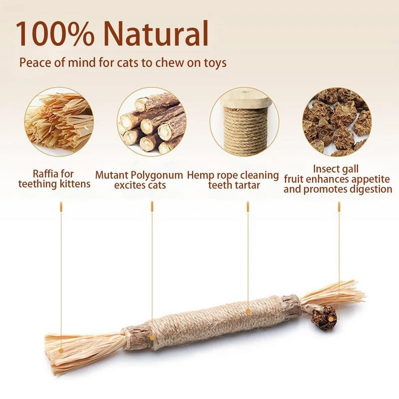 Wholesale Indoor Cat Chew Toys Actinidia Polygama Silvervine Cat Kitten Toy Matatabi Stick