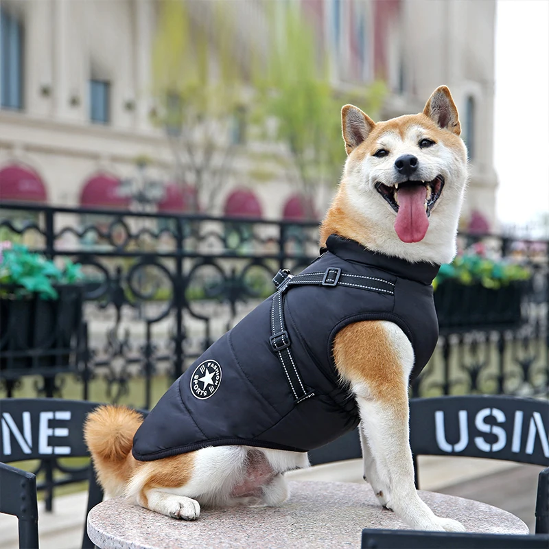 All Pet Winter Jacket Drying Coat Pet Waterproof Reflective Cat Vest Luxury Warm Custom Factory Outside Dog Clothes