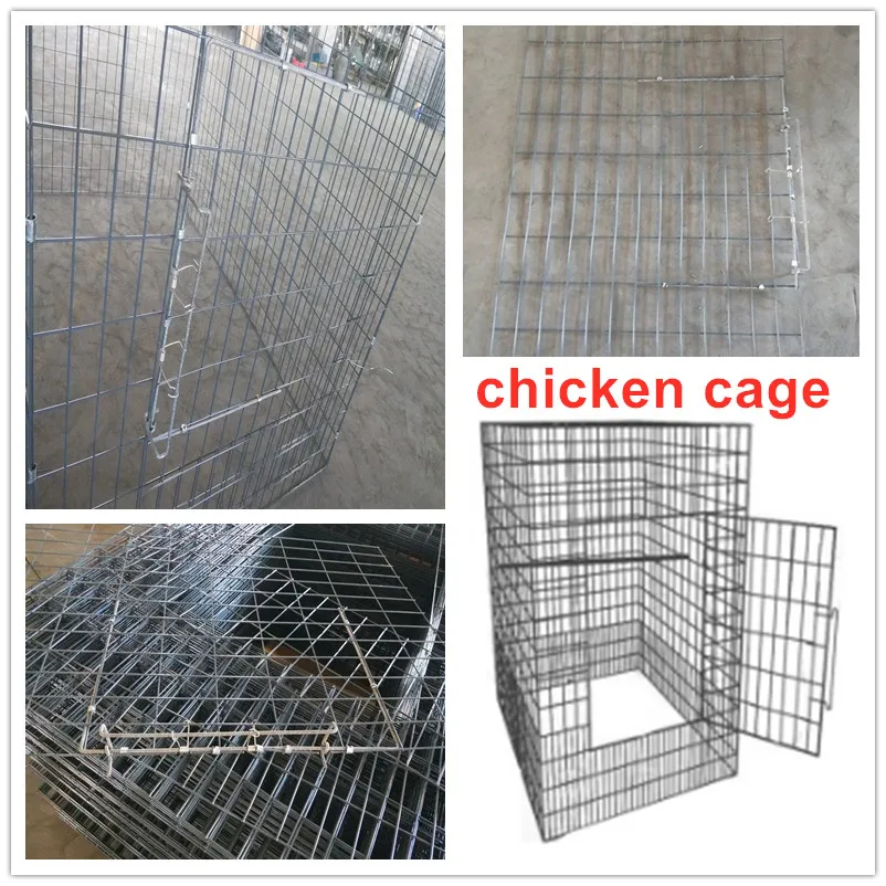  60x40x60 chicken cage/chicken pen/cages for