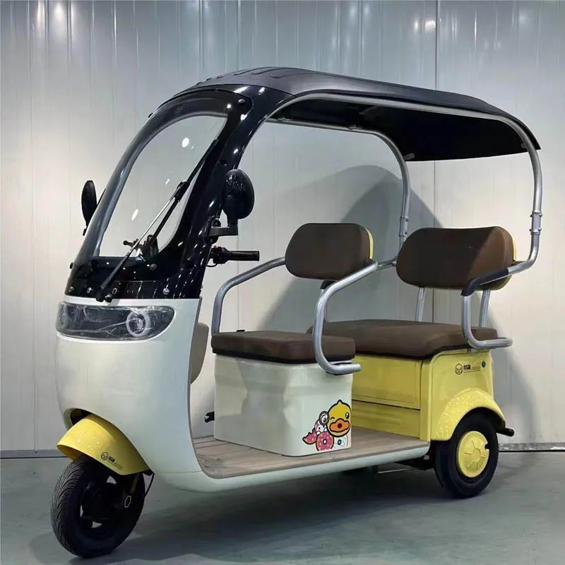 New Product Three Wheel Electric Leisure Scooter Tricycle 600-1200W Adult Electric Tricycles With Roof