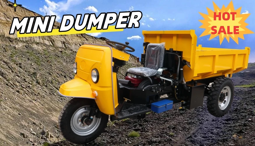 Mini 3 Wheel Dumper Cargo Tricycle 3 Wheel Motorcycle Dump Truck For Sale