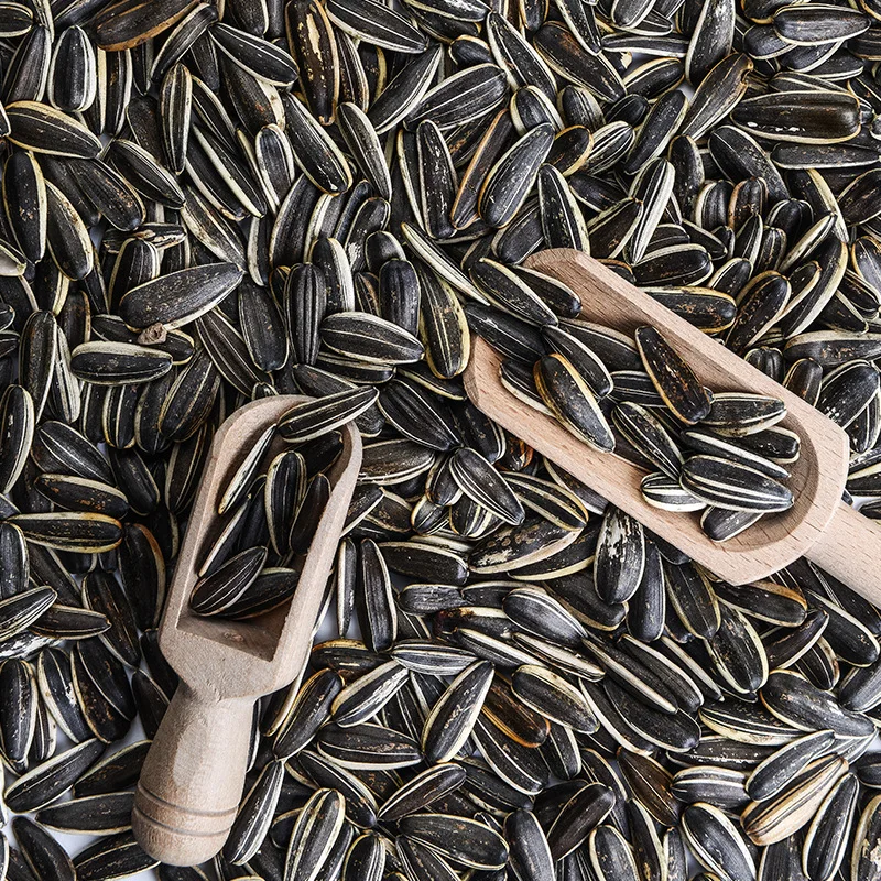 
Roasted Salted Sunflower Seeds with shell 