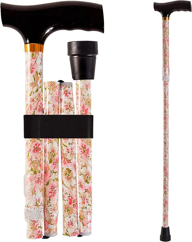 walking sticks17