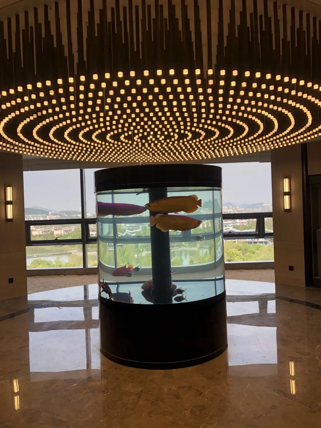 1.5m aquarium (4).jpg