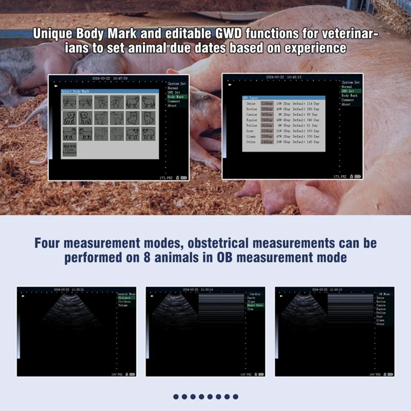 Ультразвуковой аппарат для животных