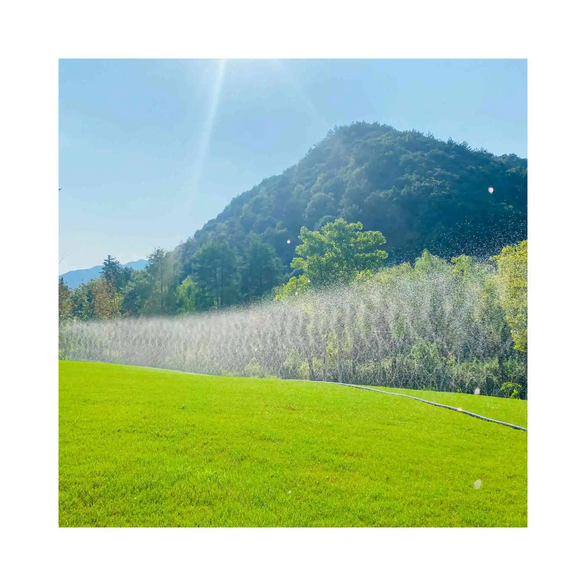 BOWA Plastic sprinkler tape agricultural irrigation PE rain spray hose garden sprinkler hose rain pipe for irrigation system