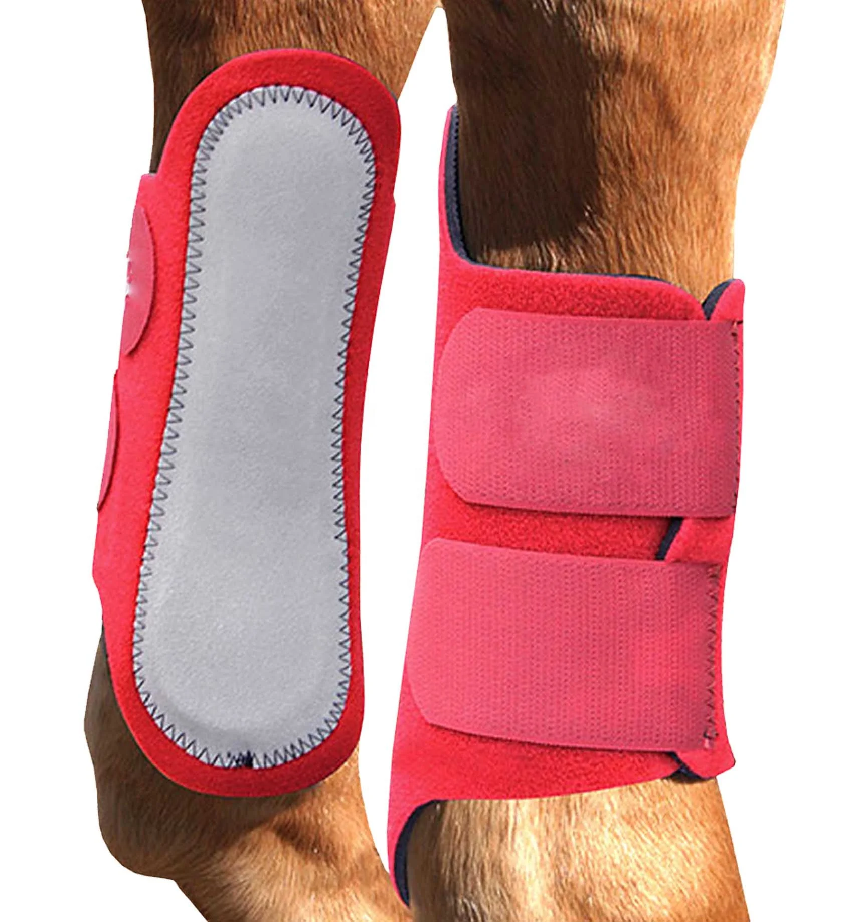 Horse Knee Boot2.jpg