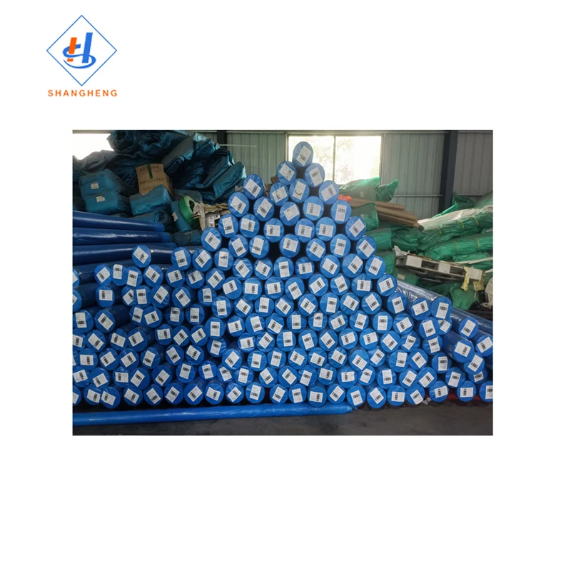 Pe Tarpaulin Blue/Silver Pe Tarpaulin Roll 250 Gsm Army Green Pe Tarpaulin In Roll Price