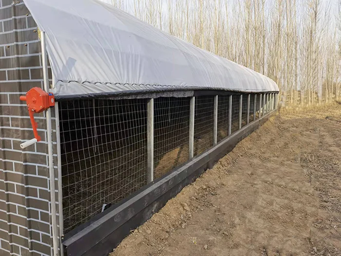 low cost prefabricate steel structure piggery  business plan design pig farm house