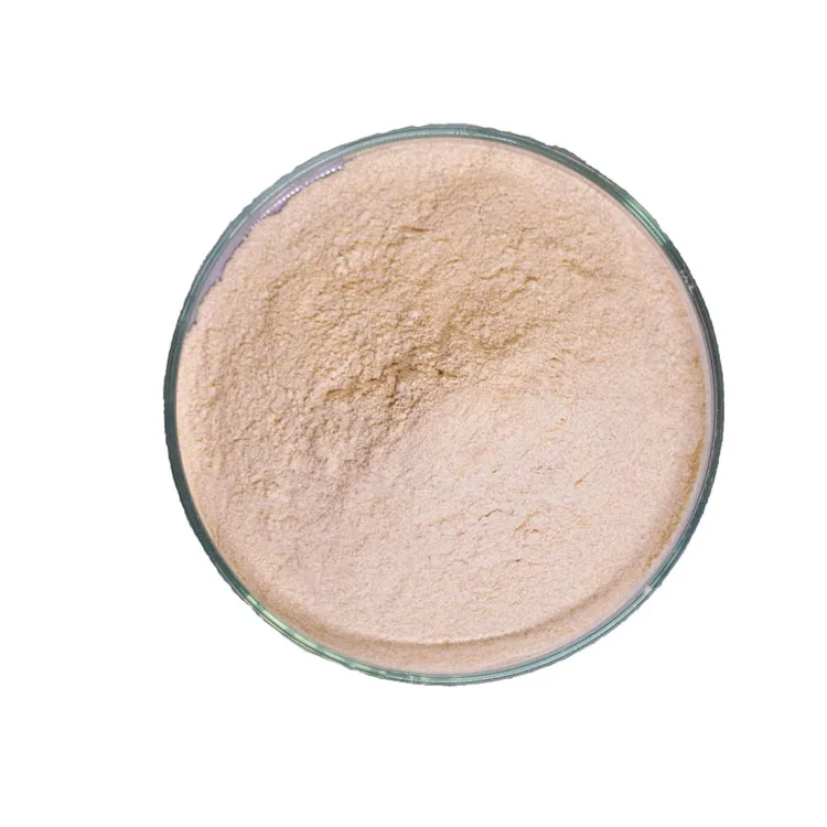 Feed Additives Probiotic High Quality And Durable Use Feed Grade Additives Lactobacillus Buchneri Probiotic Powder