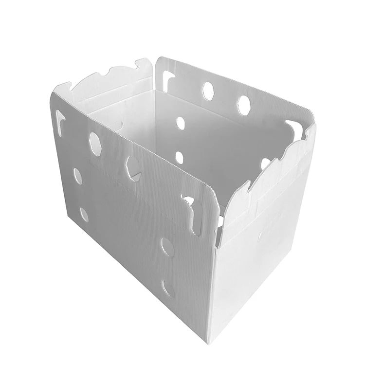 Factory supplyplastic foldable crate folding storage packing fruit vegetable box custom printed pp hollow box