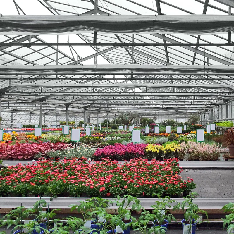 China Venlo Agriculture Multi Span Hydroponic Glass Greenhouse for Vegetables/Flowers/Tomato/Farm/Garden