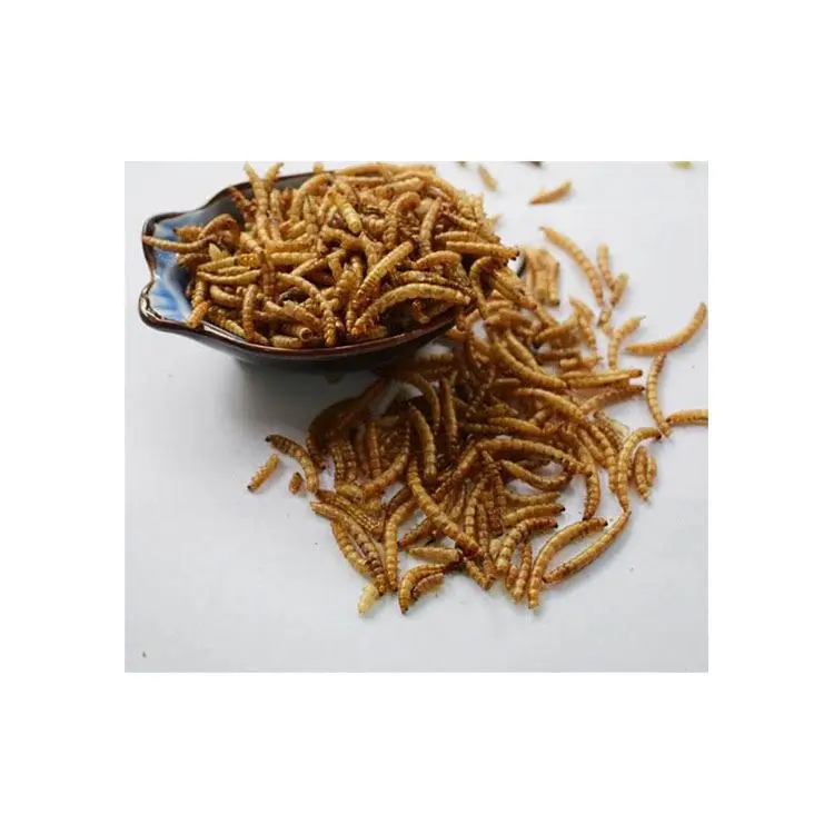 Большой стандарт высокого питания высокого белка Замороженные Сушеные mealworm для птиц