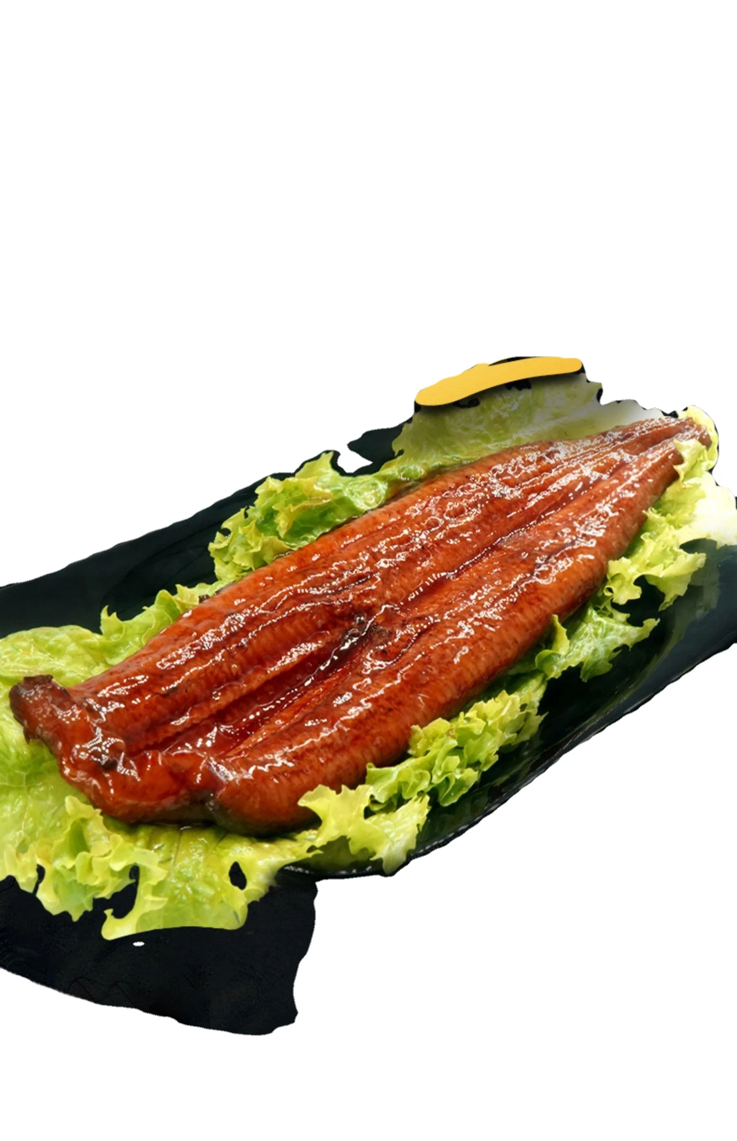 Sushi or Japanese Cuisines Eel Kabayaki Roasted Unagi Frozen Roasted Eel