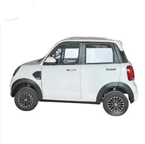 Adult Smart Mni Electric Car 3000W 60V Motor with 4 Seats for Sale Wholesale Price