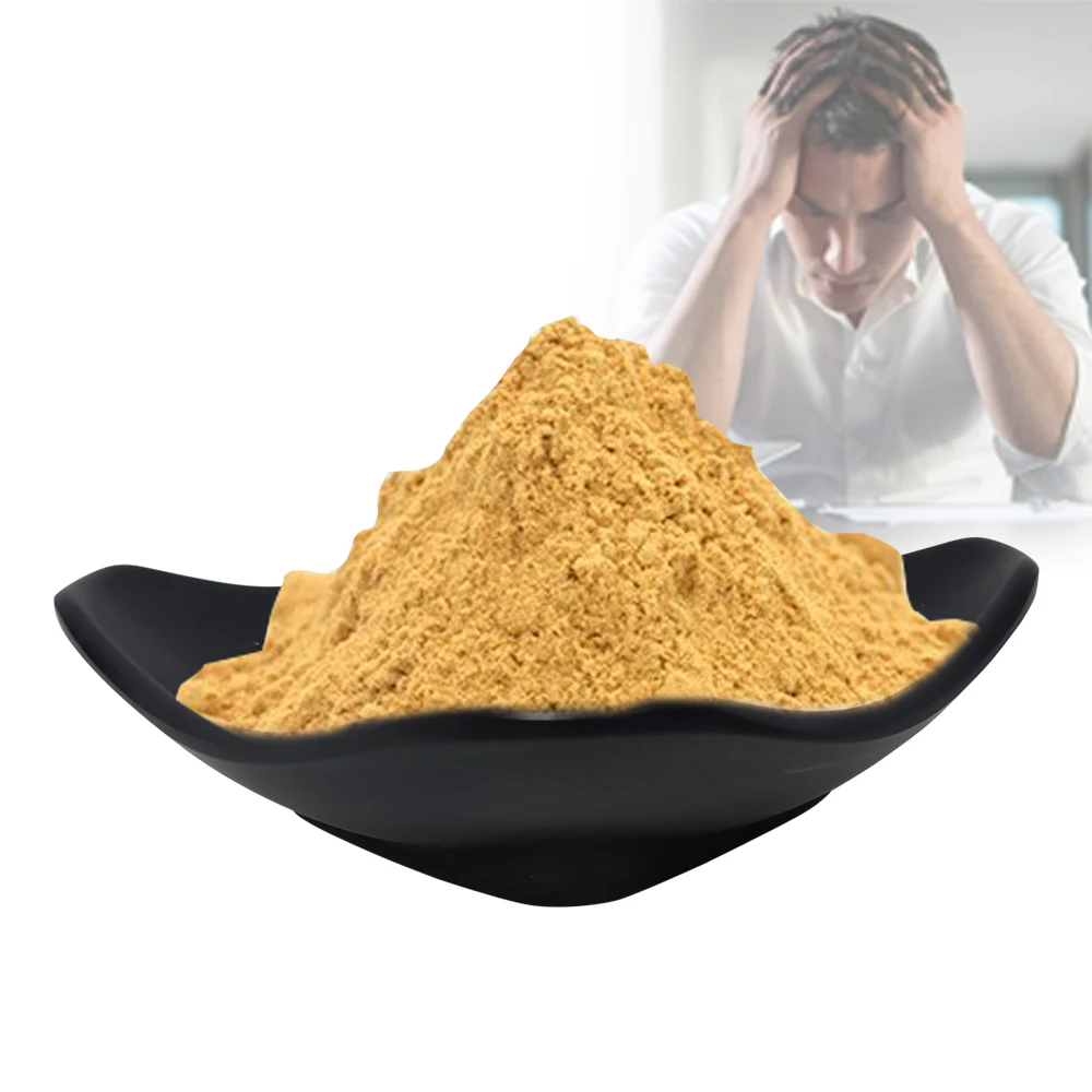 Private Brand Supplement Manufacturer 30% Lions Mane Mushroom Extract Supplements Powder High Quality Dietary Supplements