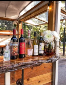 Popular High quality mobile ice cream fish and chips equipment shawarma mobile food truck refrigerated mobile bbq food cart