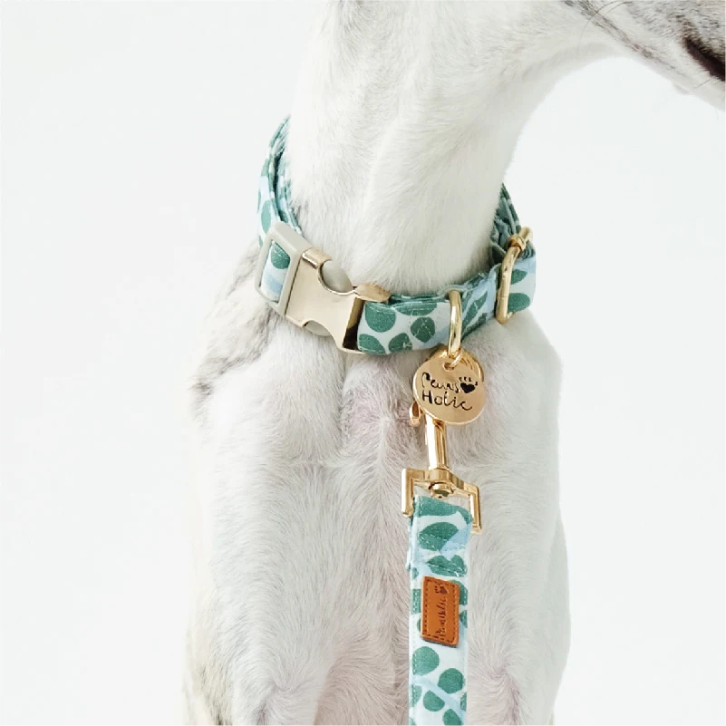 Luxury Metal Buckle Flower Print Leather Dog Collar And Leash Set Dog Tag