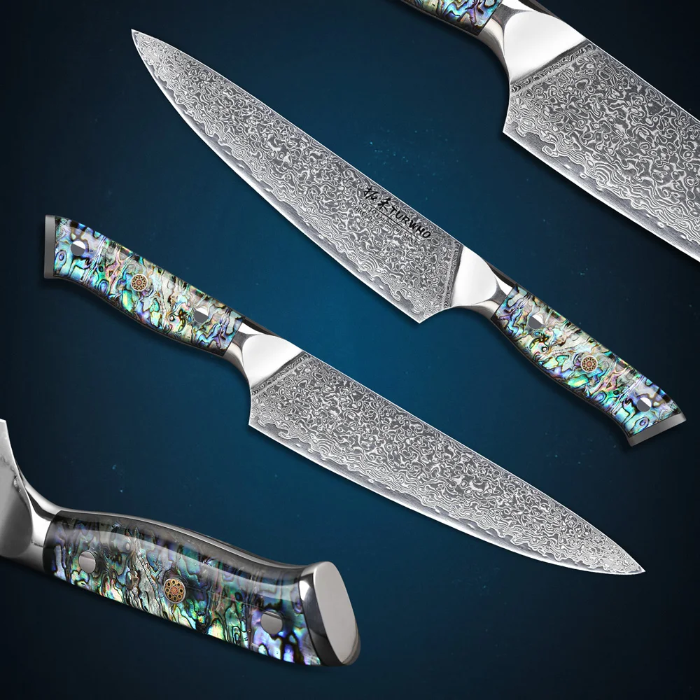 Professional VG10 Damascus Steel Kitchen Chef Knife with Abalone Handle