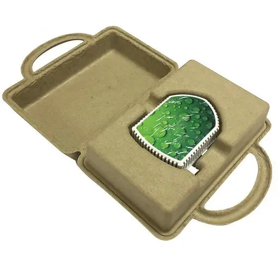 Disposable recyclable sustainable eco mold pulp box packaging shipping box