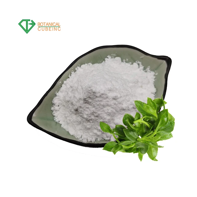 Antiviral Natrual Andrographis Paniculata Extract 98% Andrographolides Powder