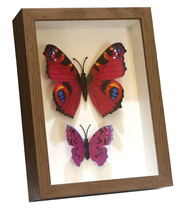 Three-dimensional hollow specimen DIY butterfly insect clay dried flower thickened glass photo frame