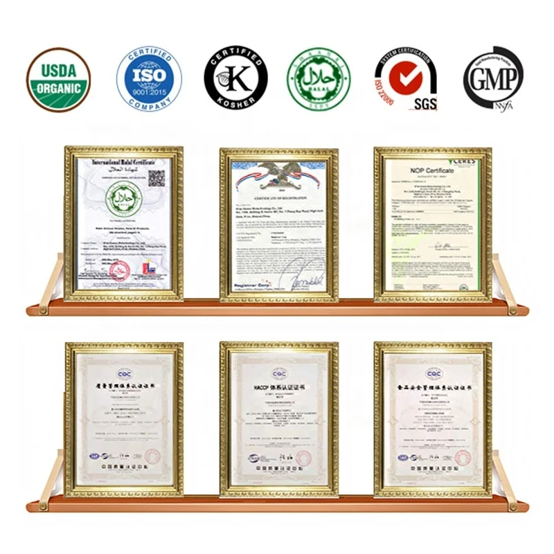 Food grade lipase enzyme powder bulk baking lipase powder GMP stander lipaser