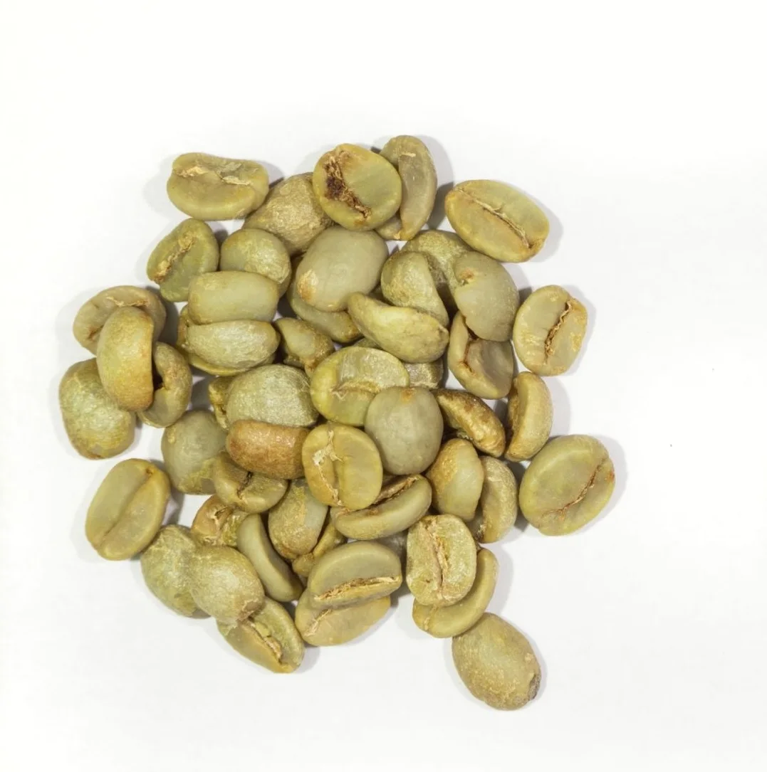 Моющиеся экранированные зеленые кофейные зерна jimma yirgachefe sidmo