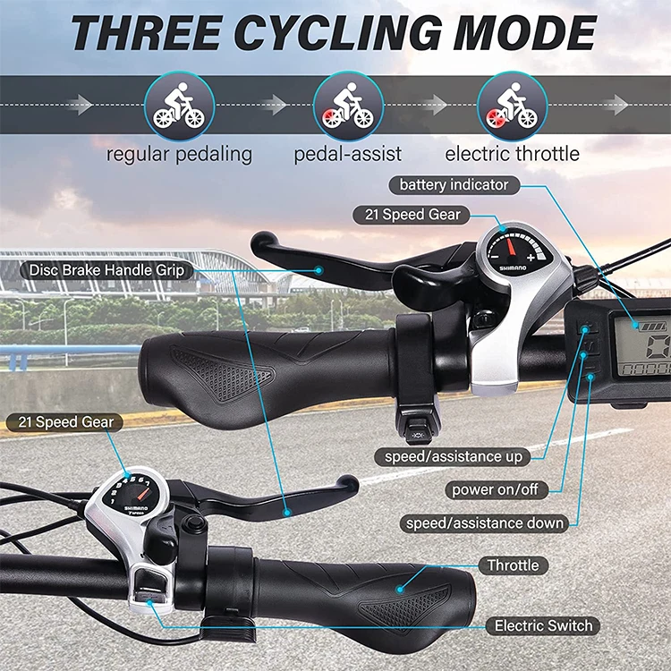 2020 Hottest Electric Bike Electric Bike 29' Tire Aluminum Frame Electric Beach Cruiser Bike Electric Bicycle