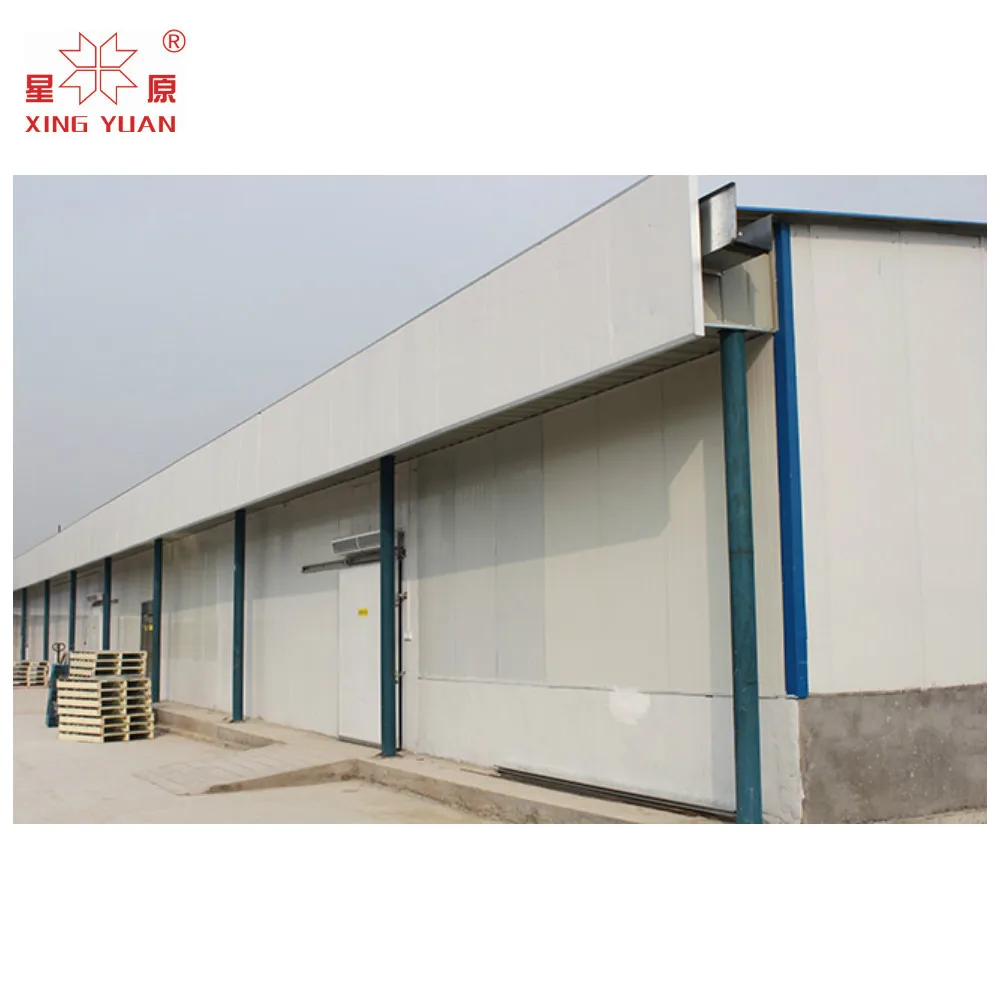 Walk in chiller freezer cold storage room for potato
