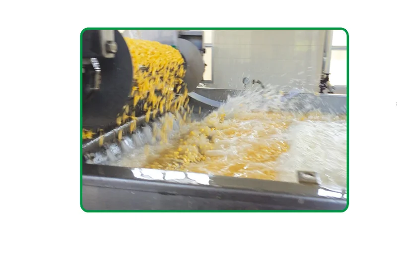 
Sell well new type price steam cleaning machine dry carpet cleaning machin 