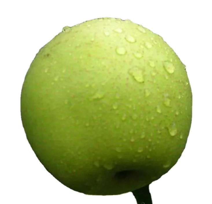 Chinese fresh Ya Pear 2022 new crop Emerald Pear Crown Pear