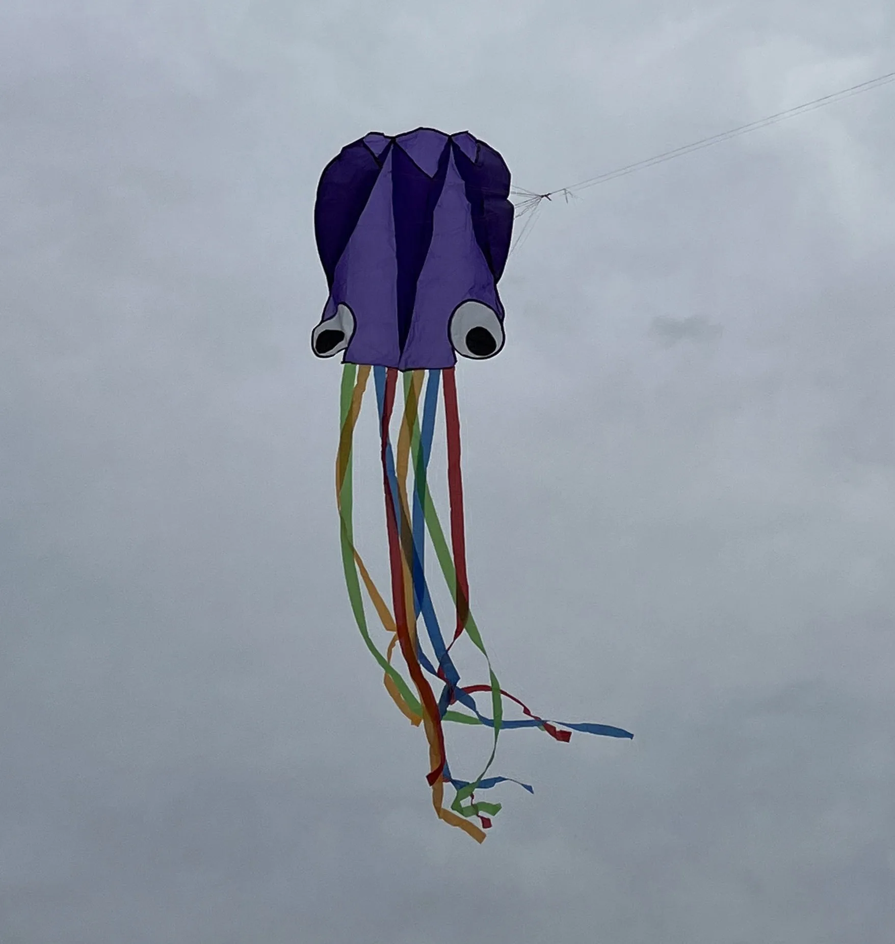 Inflatable Soft kite 3D shape kite