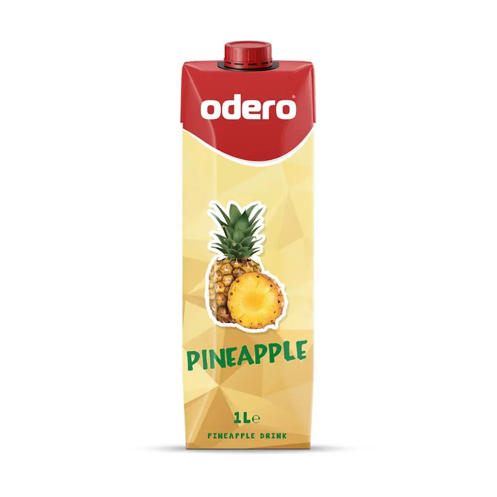 High Quality Cocktail Fruit Drink Best Price in Carton Pack 1000 ml