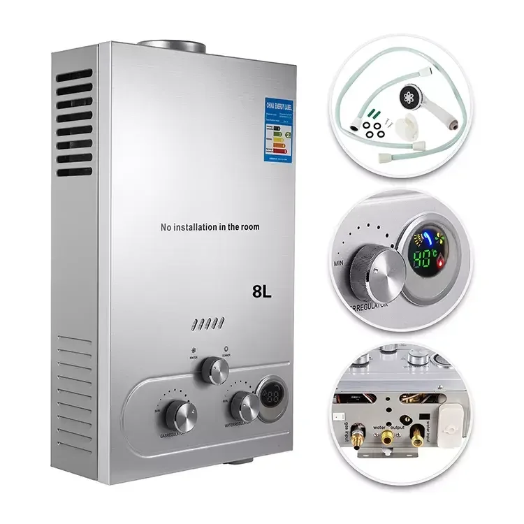 16L Wall-Mounted Stainless Steel Gas Water Heater Flue-Type Burner for Caravan Household Hotel Use