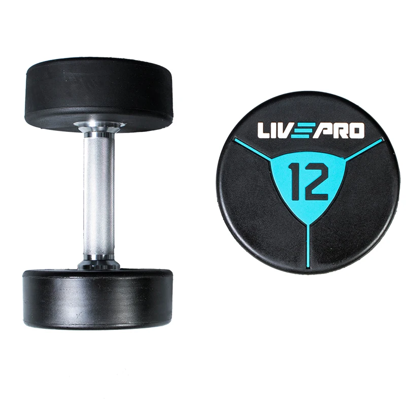 Gym Equipment Urethane Dumbbell Set Free Weights Custom Fixed CPU Dumbbells