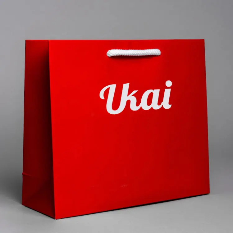 Custom Print Luxury Paper Shopping Gift Carry Bags With Your Own Logo